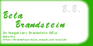 bela brandstein business card